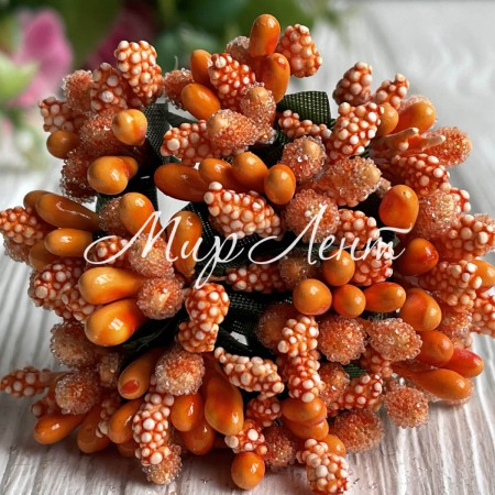 Гілочка з тичинками, помаранчевий, пучок