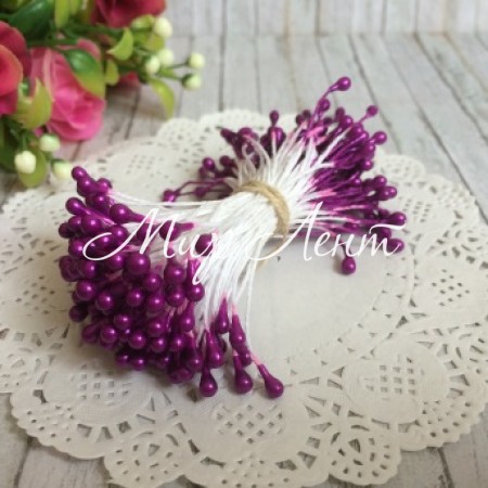 Тычинки большие, 4 мм, темно-фиолетовые