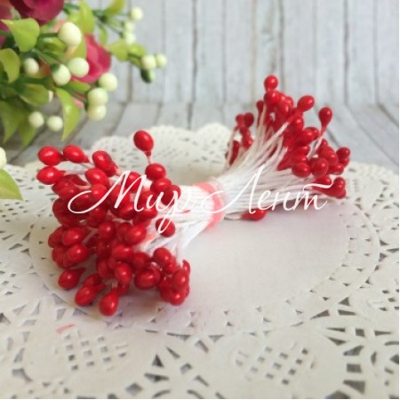 Тичинки маленькі, 2 мм, червоні