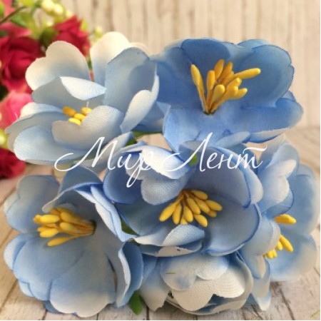 Пион раскрытый, 4,5 см, голубой, пучек