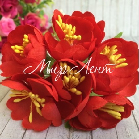 Півонія розкритий, 4,5 см, червоний, пучок