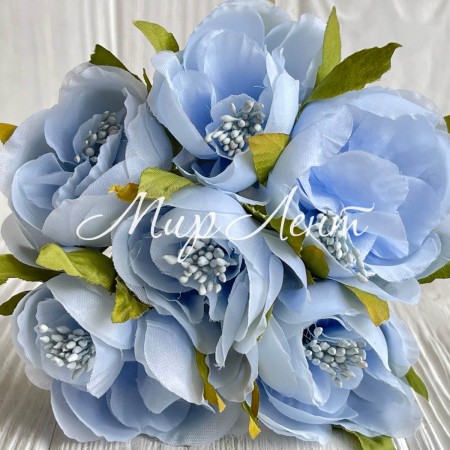 Бегонія королівська, 5 см, блакитна, пучок