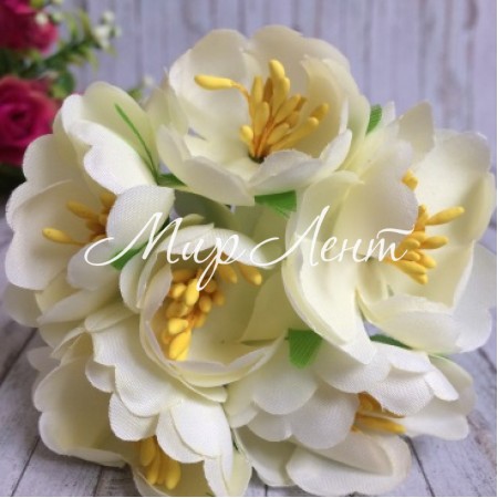 Пион раскрытый, 4,5 см, молочный, пучек