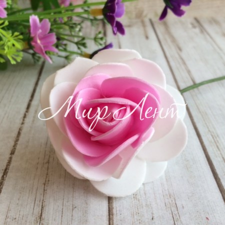 Троянда, 6 см, біло-рожева