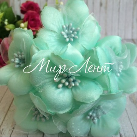 Космея, 5,5 см, тиффані, пучок з 6 квіточок