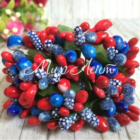 Гілочка Wow, червоно-синя