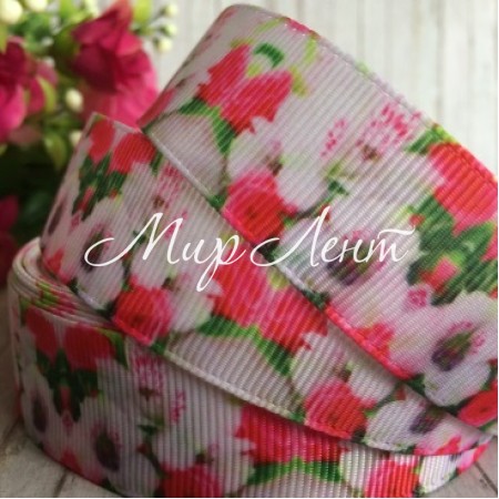 Репс 2,5 см, біло-малинові жовтці