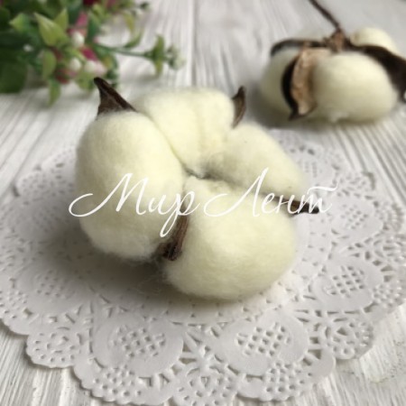 Хлопок стабилизированный (коробочка), 5-6 см, молочный, шт.