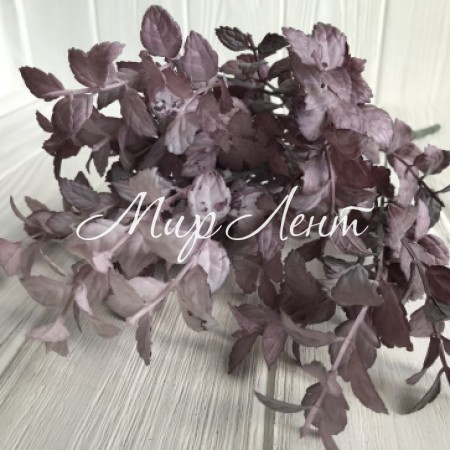 Зелень базиліка, 33 см, світло-фіолетовий, шт.