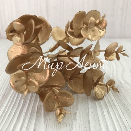 Добавка эвкалипта, 14 см, золото, шт.