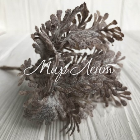 Гілочка туї, 16 см, світло-коричневий, шт.