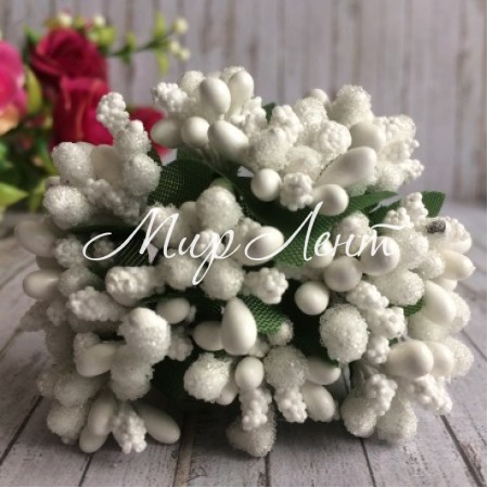 Гілочка з тичинками, білий, пучок