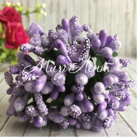 Гілочка з тичинками, лілова, пучок