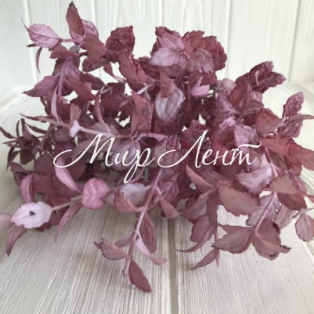 Зелень базиліка, 33 см, рожево-бузковий, шт.