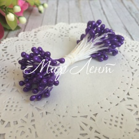 Тичинки маленькі, 2 мм, фіолетові