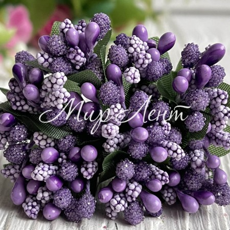 Гілочка з тичинками, фіолетова, пучок