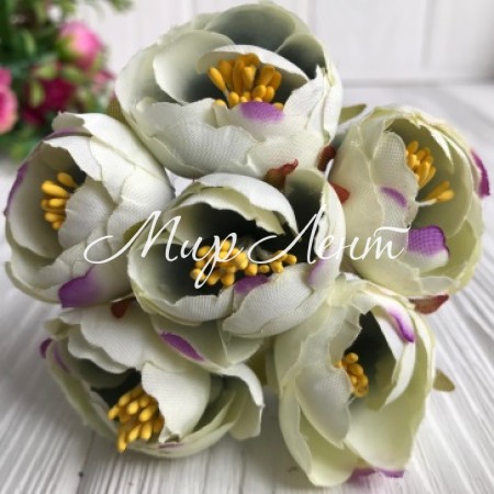 Пион весенний, 3 см, молочный с фиолетовым, пучек