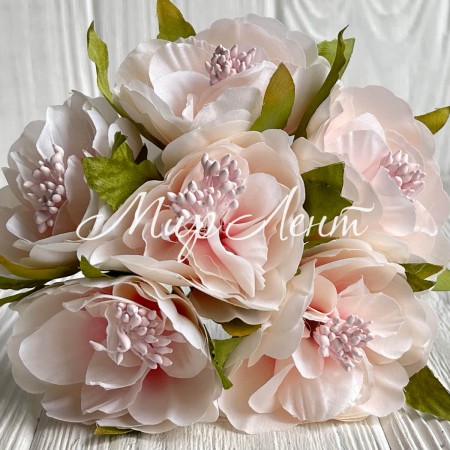 Бегония королевская, 5 см, нежно-розовая, пучек