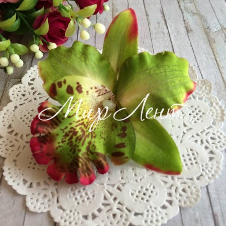 Бутон лілії, 8х8 см, оливково-червоний