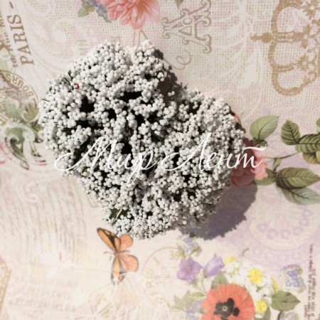 Трава біла, 1 пучок