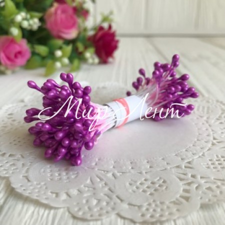 Тычинки маленькие, 2 мм, сиреневые