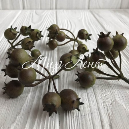 Шиповник, 12 мм, зелено-коричневый, шт.