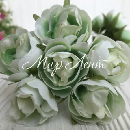 Півоноподібна троянда, 3 см, ніжно-салатовий, пучок 6 шт.