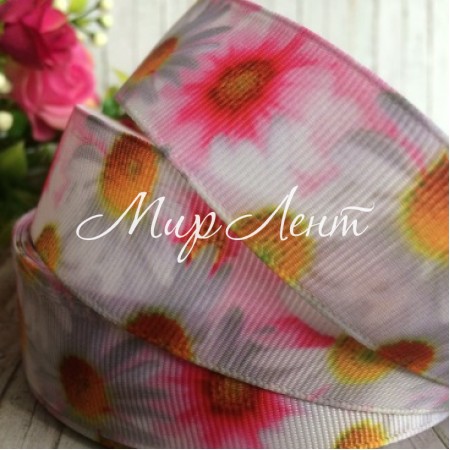 Репс 2,5 см, бело-ярко-розовые ромашки