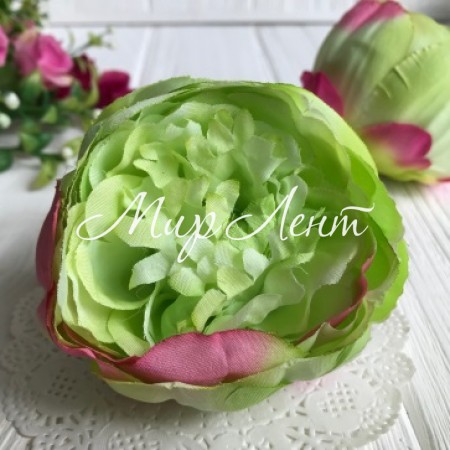 Півонія тканинна, 8 см, салатово-малиновий