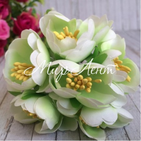 Пион раскрытый, 4,5 см, нежно-салатовый, пучек
