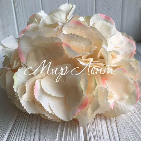 Гортензія (суцвіття), 22 см, персиковий, шт.