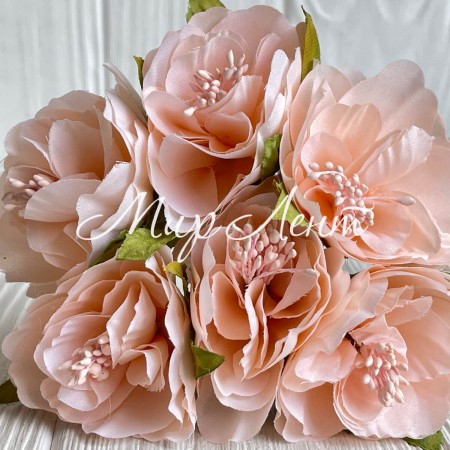 Бегонія королівська, 5 см, персикова, пучок