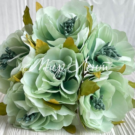 Бегонія королівська, 5 см, мятна, пучок