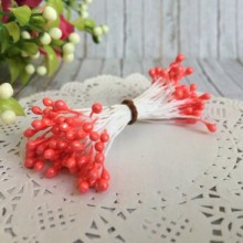 Тичинки маленькі, 2 мм, темно-персикові