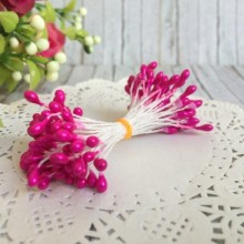 Тичинки маленькі, 2 мм, темно-малинові