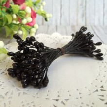 Тичинки маленькі, 2 мм, чорні