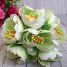 Півонія розкритий, 4,5 см, ніжно-салатовий, пучок
