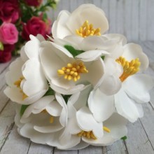 Півонія розкритий, 4,5 см, білий, пучок