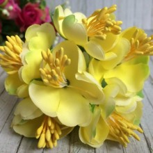 Півонія розкритий, 4,5 см, жовтий, пучок