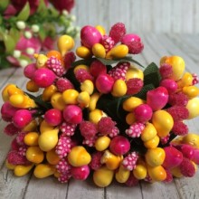 Гілочка Wow, жовто-малинова