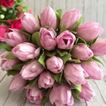 Пролісок, 2 см, світло-рожевий, пучок з 20 квіточок