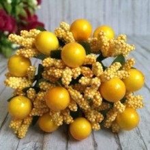 Гілочка жовта з жовтими ягідками