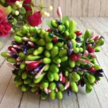 Гілочка з тичинками MIX, салатово-малинова