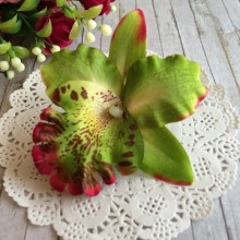 Бутон лілії, 8х8 см, оливково-червоний