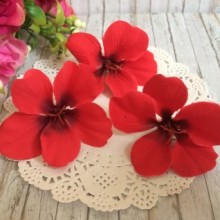 Бутон гортензії, 5 см, червоний