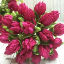 Пролісок, 2 см, малиновий, пучок з 20 квіточок