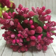 Гілочка з тичинками, малинова, пучок