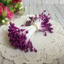 Тичинки великі, 4 мм, темно-фіолетові