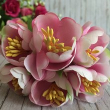 Півонія розкритий, 4,5 см, світло-рожевий, пучок