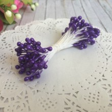 Тичинки маленькі, 2 мм, фіолетові